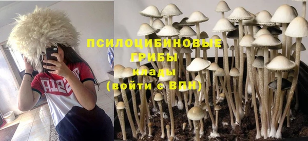 2c-b Балахна