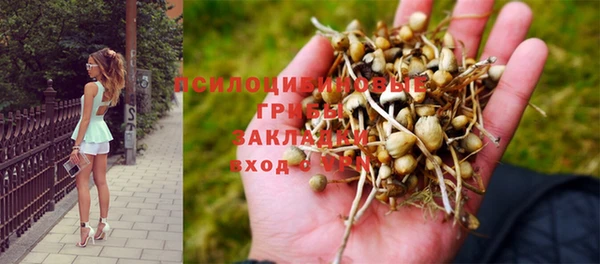 соль курить ск Балабаново